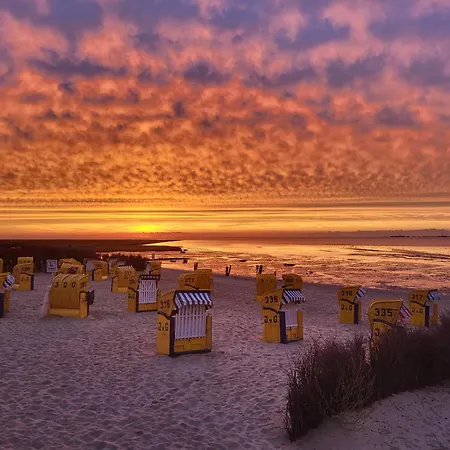 Apartament Little Skysuite Terrassenhaus W 94 *